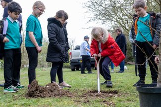 arbor day